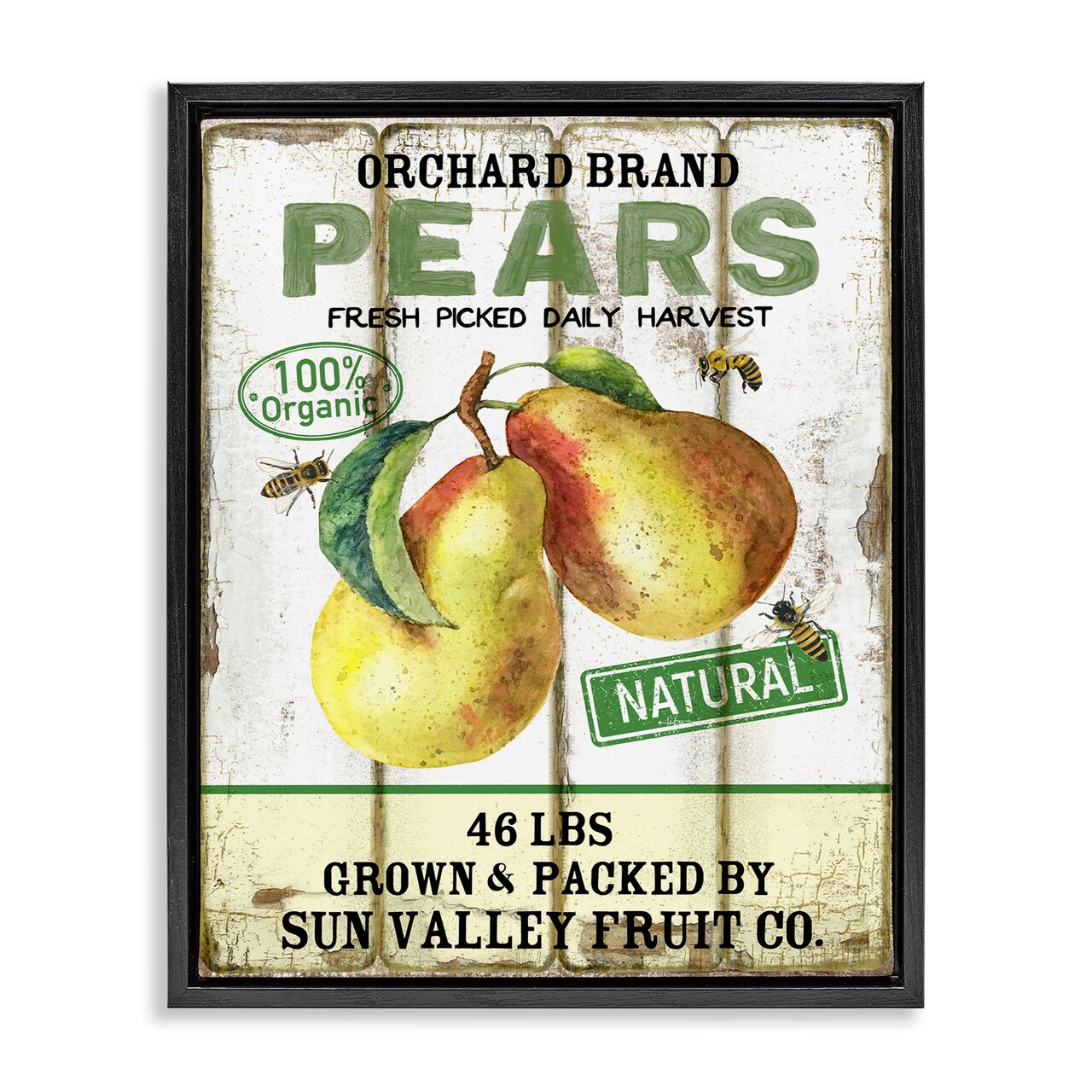 Stupell Industries Farm Orchard Pears Floater Framed Canvas Wall Art Design by Creatif Belle